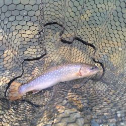 濁りの強さに苦戦